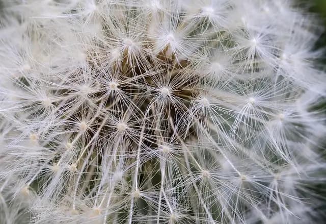 10 applications révolutionnaires de l'IA dans la création artistique