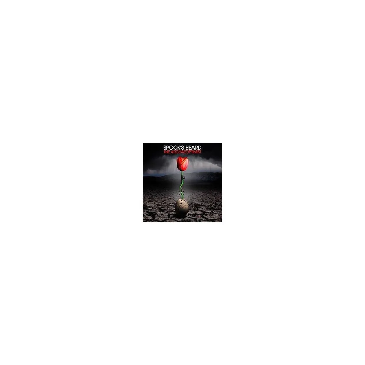 Pias Spock's Beard - The Archaeoptimist - Double vinyle rouge (édition limitée)