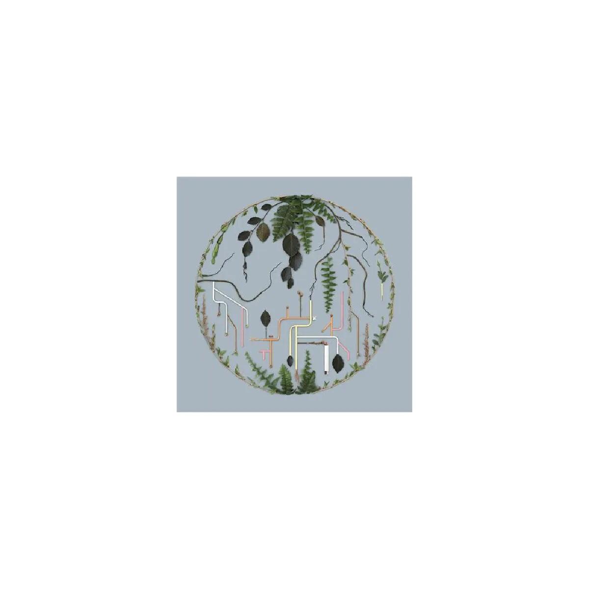 Modulor Tributaries Vol 2 - El Buho - 12" Album